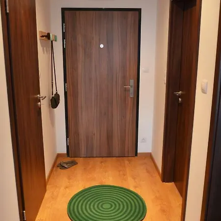 Brand New Apartment. Parking Spot Included! Lejlighed *