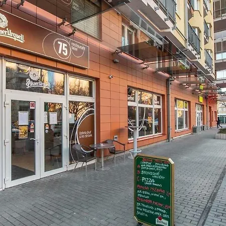 Brand New Apartment. Parking Spot Included! דירה *